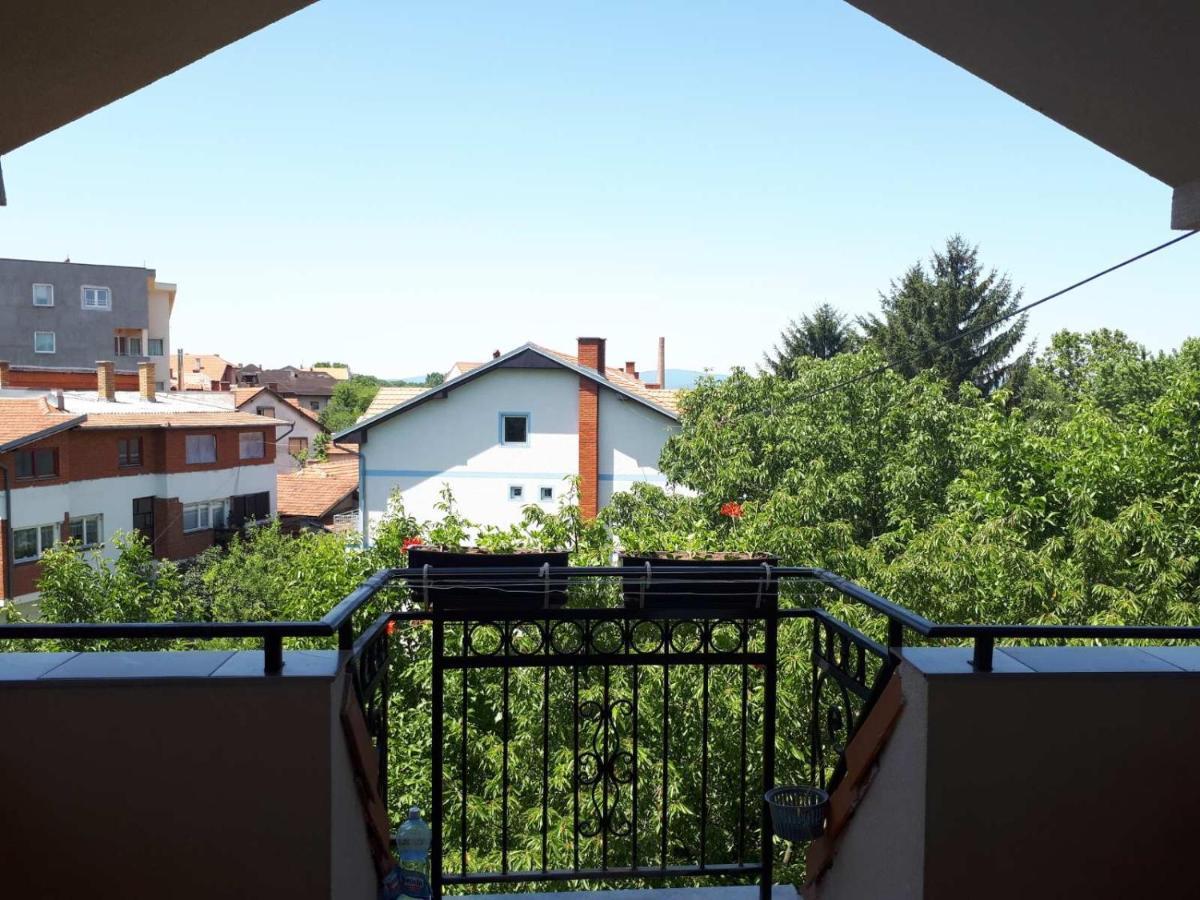 Smestaj Milenkovic Sokobanja Buitenkant foto