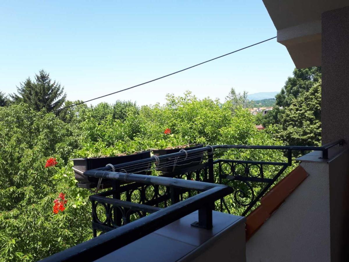 Smestaj Milenkovic Sokobanja Buitenkant foto