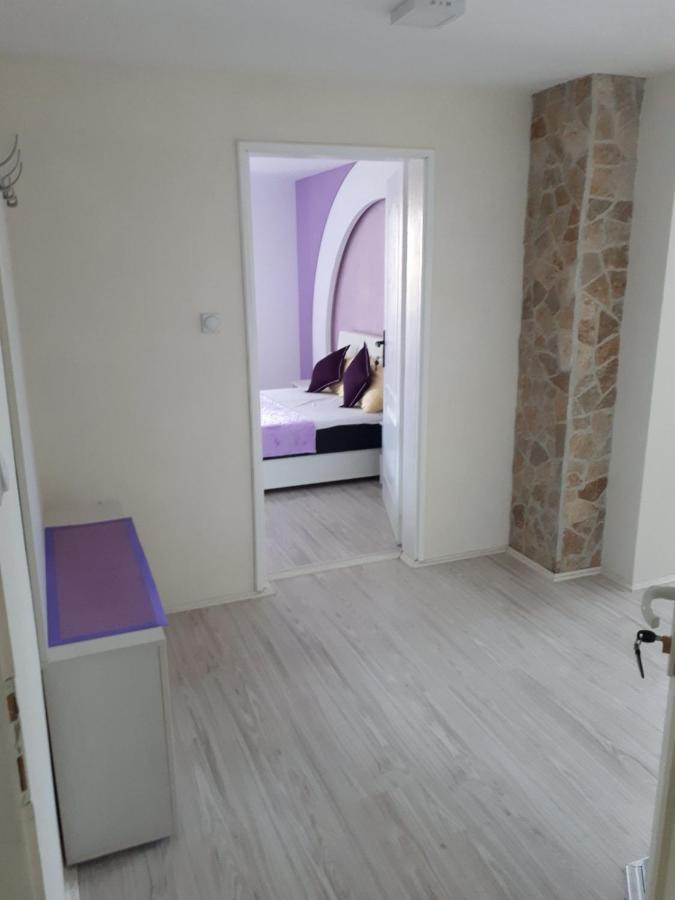 Smestaj Milenkovic Sokobanja Buitenkant foto